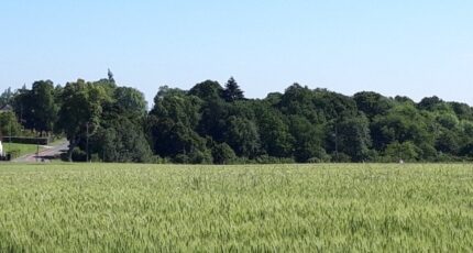 Boullay-les-Troux Terrain à bâtir - 2293412-11148annonce120251003QTNBc.jpeg Maisons Balency