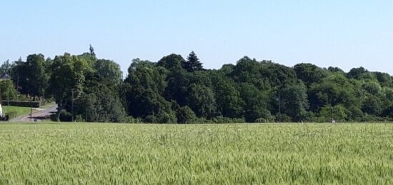 Terrain à bâtir à Boullay-les-Troux, Île-de-France