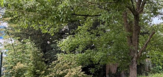 Terrain à bâtir à Épinay-sur-Orge, Île-de-France