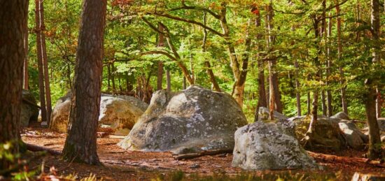 Terrain à bâtir à , Seine-et-Marne