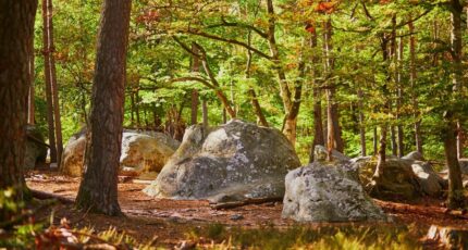 Fontainebleau Maison neuve - 2368768-4684annonce220251215va3O6.jpeg Maisons Balency