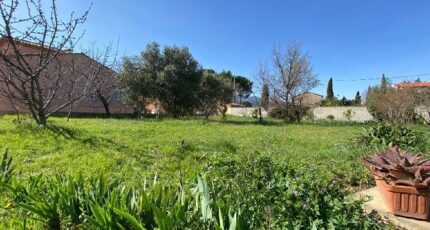 Sorède Terrain à bâtir - 2319080-4671annonce120251027TRO8s.jpeg Maisons Balency