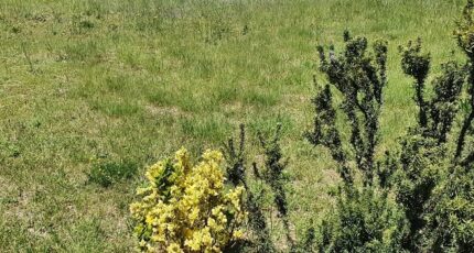 Villelongue-dels-Monts Maison neuve - 2319164-4671annonce120251027WLaq9.jpeg Maisons Balency