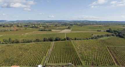 Ceyras Maison neuve - 2336558-11507annonce120251113KoZSq.jpeg Maisons Balency