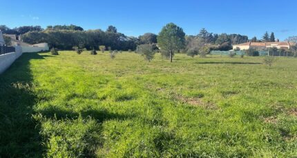 Canet Maison neuve - 2338272-11507annonce120251114q4MUC.jpeg Maisons Balency