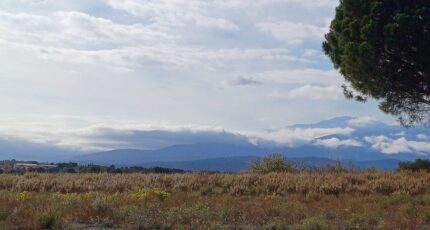 Saint-Jean-Lasseille Maison neuve - 2338765-4671annonce120251114L9kdQ.jpeg Maisons Balency