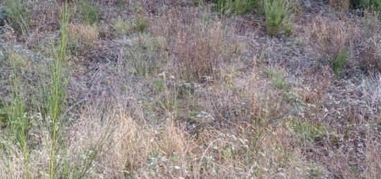 Terrain à bâtir à Latour-Bas-Elne, Occitanie
