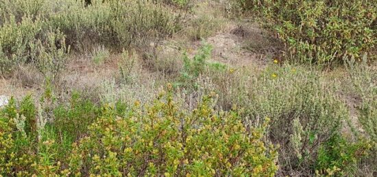 Terrain à bâtir à Saint-Estève, Occitanie