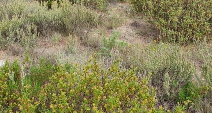 Saint-Estève Maison neuve - 2341331-4671annonce120251118g3Gow.jpeg Maisons Balency