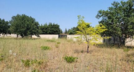 Pézilla-la-Rivière Terrain à bâtir - 2350677-4671annonce1202511275HUB5.jpeg Maisons Balency