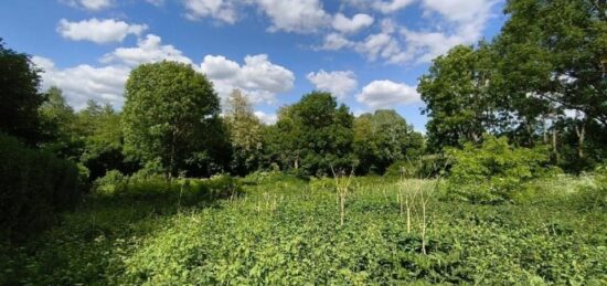 Terrain à bâtir à Vallangoujard, Île-de-France
