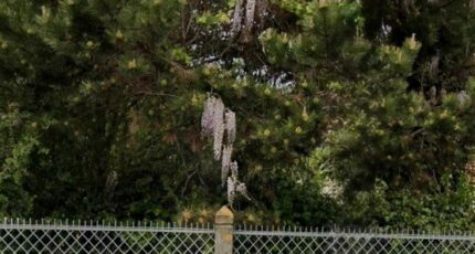 Antony Terrain à bâtir - 2319359-11148annonce120251027ovXsQ.jpeg Maisons Balency