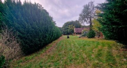 Milly-la-Forêt Terrain à bâtir - 2353398-4684annonce3202512010KTgu.jpeg Maisons Balency