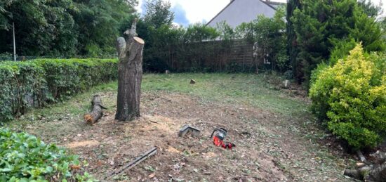 Terrain à bâtir à Villebon-sur-Yvette, Île-de-France