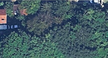 Corbeil-Essonnes Maison neuve - 2330251-4684annonce120251106k8q6w.jpeg Maisons Balency