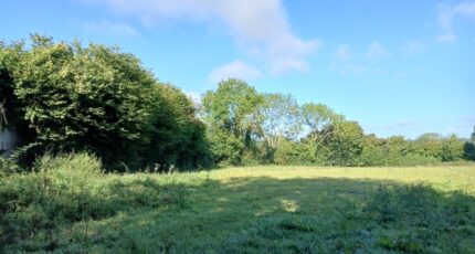 Saint-Hymer Maison neuve - 2383611-11563annonce220250905PWyXI.jpeg Maisons Balency