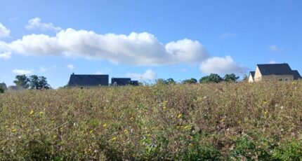 Pont-l'Évêque Maison neuve - 2383646-11563annonce120250905ewoRs.jpeg Maisons Balency