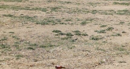 Estagel Terrain à bâtir - 2385713-4671annonce1202601086eMoi.jpeg Maisons Balency