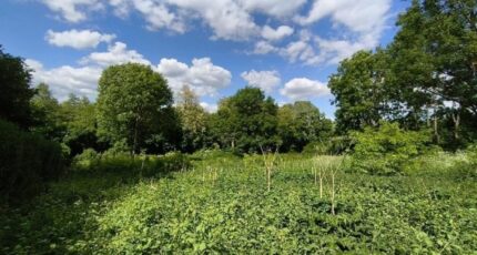 Vallangoujard Maison neuve - 2328014-11688annonce1202511046GZSJ.jpeg Maisons Balency