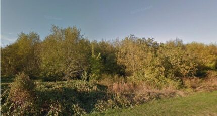 Boissise-le-Roi Maison neuve - 2367857-4684annonce120251212tXFx6.jpeg Maisons Balency