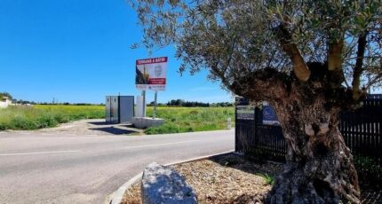 Sauvian Maison neuve - 2392714-11507annonce220260114IqfyP.jpeg Maisons Balency