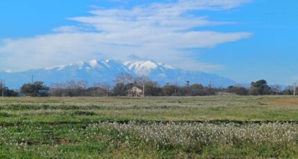 Villeneuve-de-la-Raho Terrain à bâtir - 2311181-4671annonce12025102004lRn.jpeg Maisons Balency