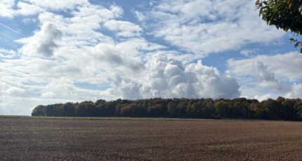 Aviron Maison neuve - 2303803-1703annonce120251013pSDuc.jpeg Maisons Balency