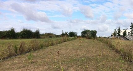 Moult Maison neuve - 2396654-11563annonce220250927I1zvE.jpeg Maisons Balency