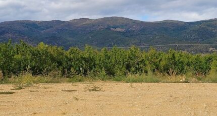 Los Masos Maison neuve - 2400177-4671annonce1202601210WN8b.jpeg Maisons Balency