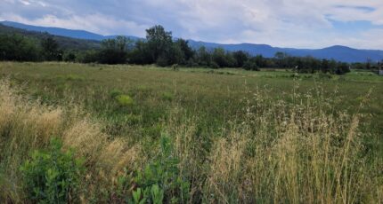 Espira-de-Conflent Terrain à bâtir - 2400544-4671annonce120260121edK2y.jpeg Maisons Balency