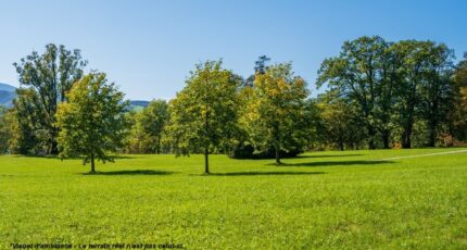 Ollainville Maison neuve - 2400735-4684annonce120260121uaRSE.jpeg Maisons Balency