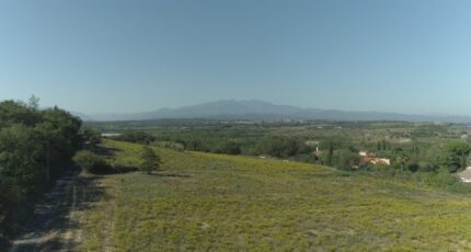 Banyuls-dels-Aspres Maison neuve - 2400639-4671annonce1202601213TORJ.jpeg Maisons Balency