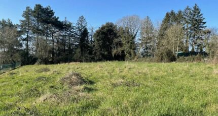 Saint-Germain-en-Laye Terrain à bâtir - 2399324-11374annonce120260120T4In5.jpeg Maisons Balency