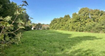 Fontenay-aux-Roses Maison neuve - 2399371-11374annonce120260120C38s5.jpeg Maisons Balency