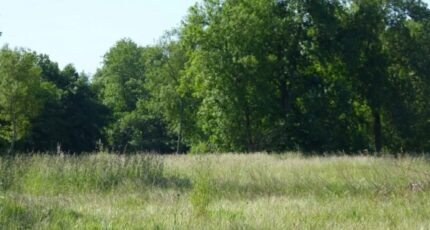 Carrières-sur-Seine Maison neuve - 2399303-11374annonce120260120E2s0w.jpeg Maisons Balency