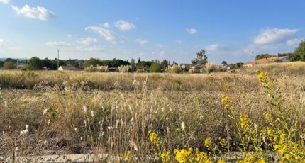Lieuran-lès-Béziers Terrain à bâtir - 2403821-11507annonce120260123UEVRS.jpeg Maisons Balency