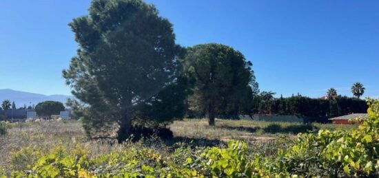 Terrain à bâtir à Cabestany, Occitanie