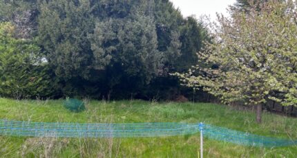 Lieusaint Maison neuve - 2405379-5508annonce1202601247TQRA.jpeg Maisons Balency