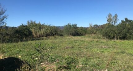 Galargues Maison neuve - 2323717-10245annonce120251031dIB8k.jpeg Maisons Balency