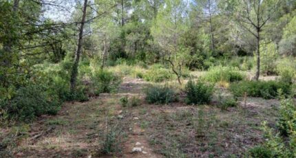 Galargues Maison neuve - 2355049-11169annonce120251202TFUNb.jpeg Maisons Balency