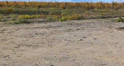 Pollestres Maison neuve - 2410467-4671annonce120260128lg6zi.jpeg Maisons Balency