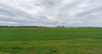 Moisenay Maison neuve - 2410979-4684annonce1202601284STv6.jpeg Maisons Balency