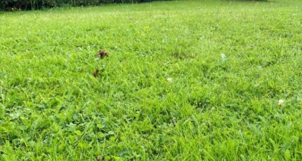 Louviers Maison neuve - 2419152-10332annonce1202602053GTug.jpeg Maisons Balency