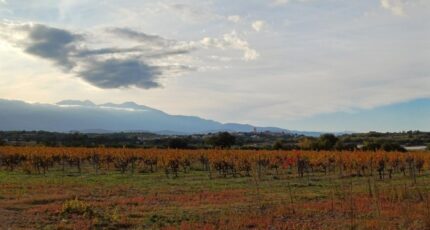 Brouilla Maison neuve - 2419690-4671annonce120260205slqs9.jpeg Maisons Balency