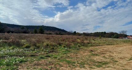 Thuir Terrain à bâtir - 2419701-4671annonce120260205EvENu.jpeg Maisons Balency