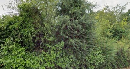 Boissy-sous-Saint-Yon Maison neuve - 2419816-10545annonce320251009s12Vc.jpeg Maisons Balency