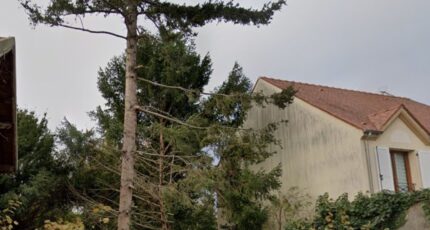 Saint-Michel-sur-Orge Maison neuve - 2419852-10545annonce120251007Q9b0m.jpeg Maisons Balency