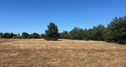 Thuir Maison neuve - 2420752-4671annonce1202602060IWze.jpeg Maisons Balency