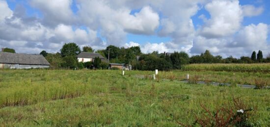 Terrain à bâtir à , Calvados