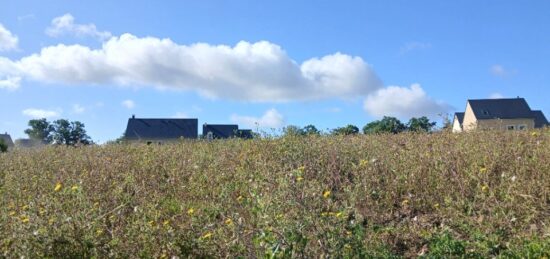 Terrain à bâtir à Pont-l'Évêque, Normandie